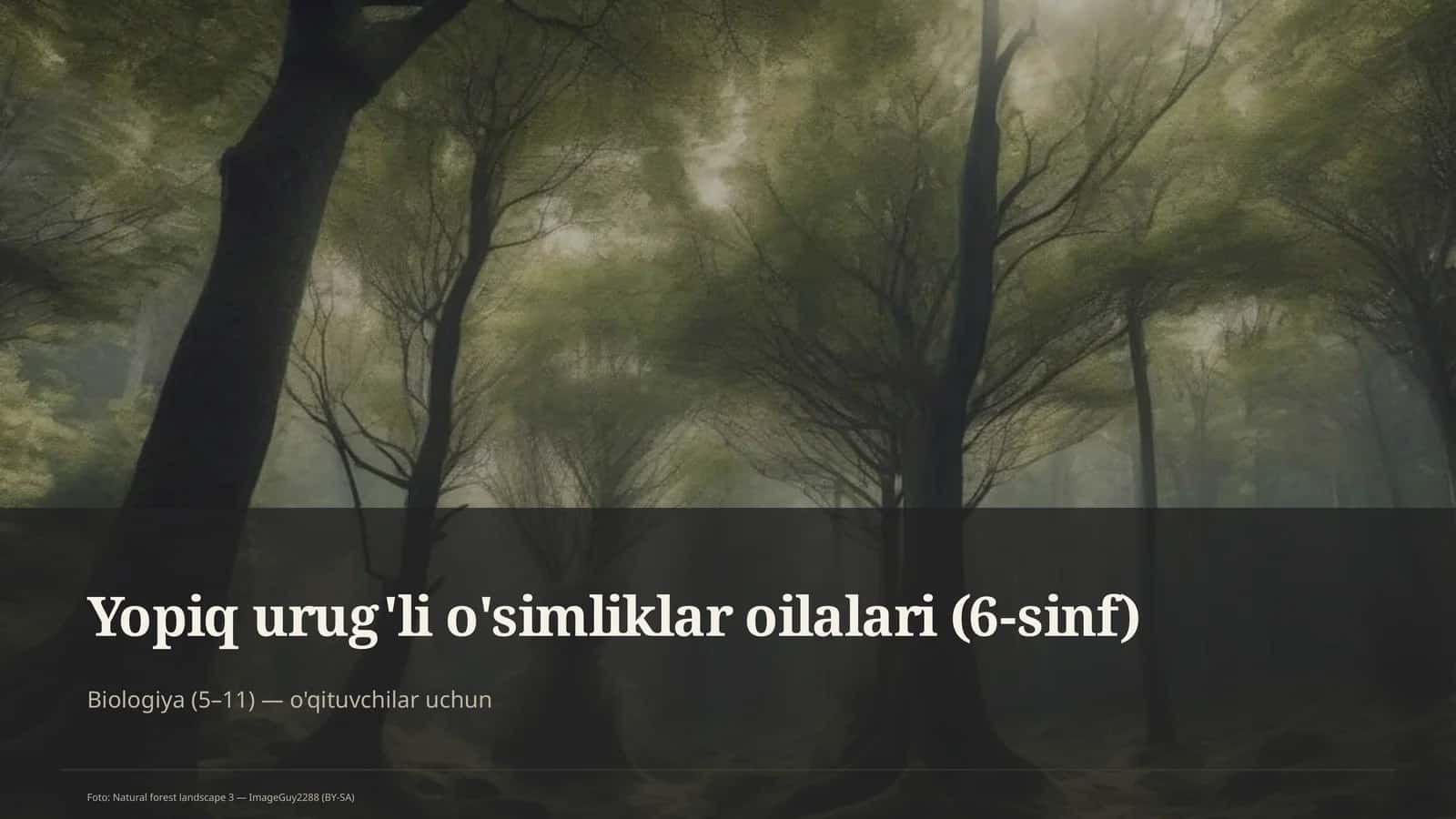 Yopiq urug'li o'simliklar oilalari (6-sinf) 1