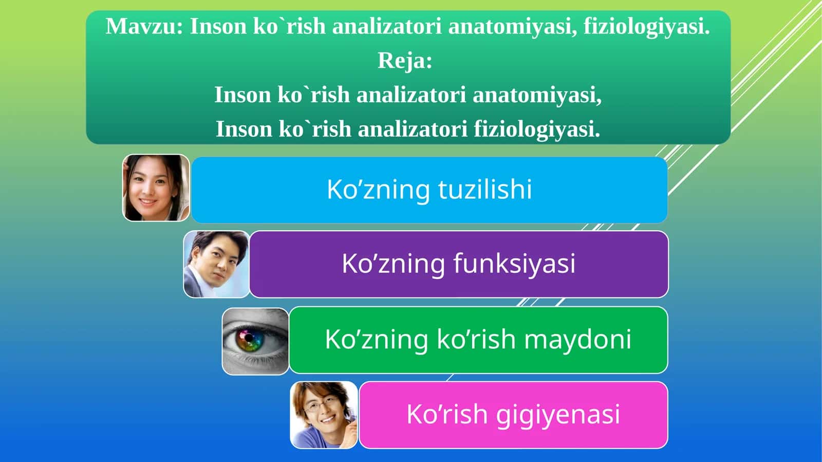 Ko’zning tuzilishi 1
