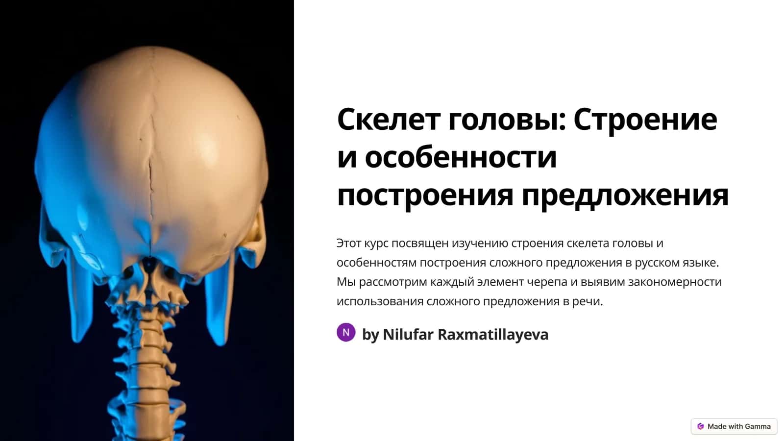 Скелет головы: Строение и особенности построения предложения 1
