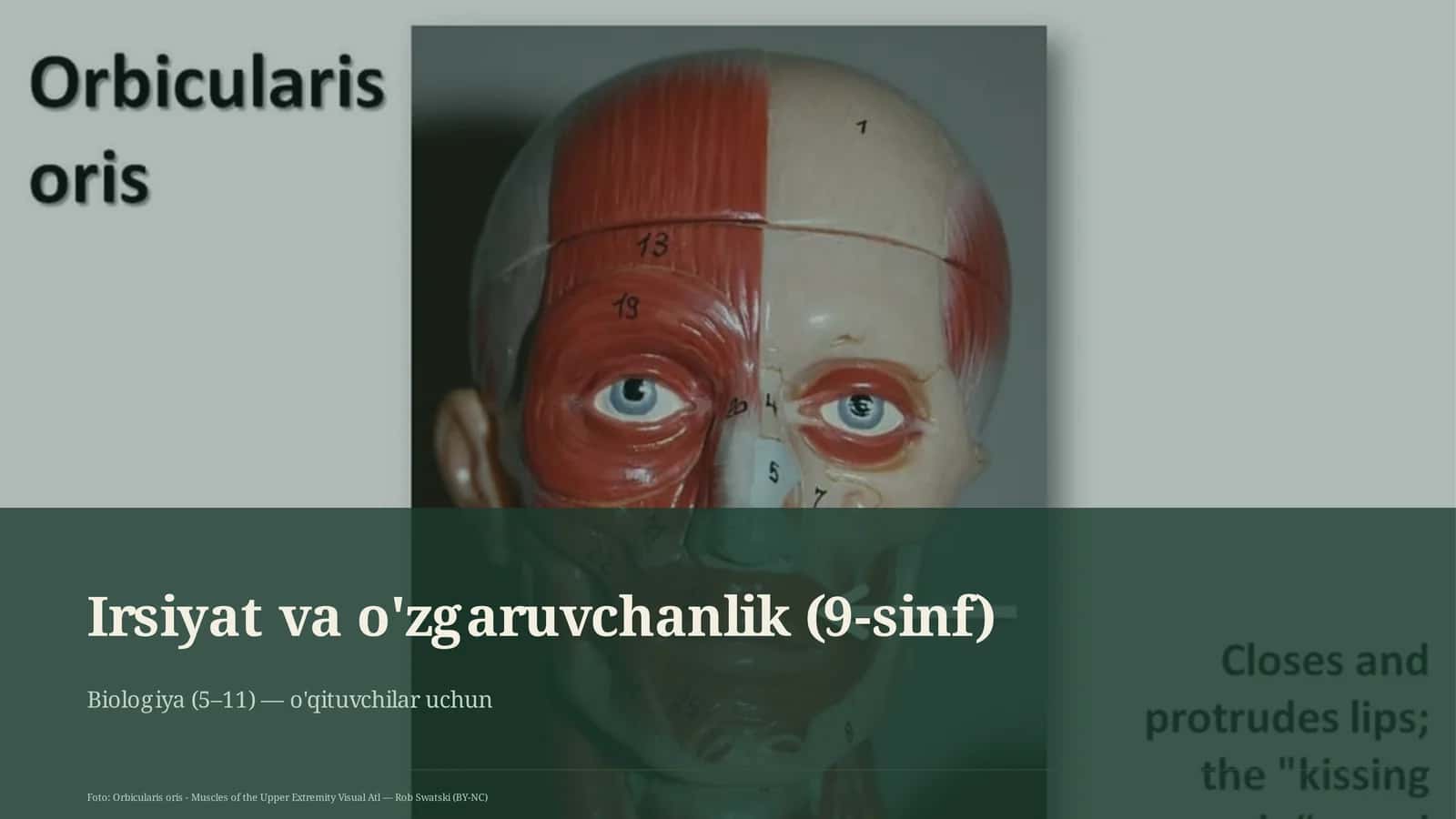 Irsiyat va o'zgaruvchanlik (9-sinf) 1