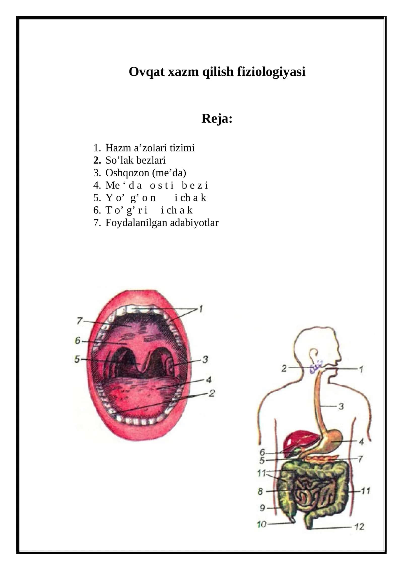 Ovqat xazm qilish fiziologiyasi 1