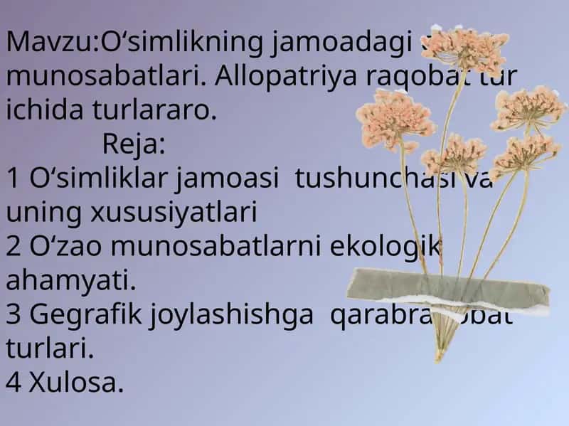 Oʻsimlikning jamoadagi oʻzaro munosabatlari 1