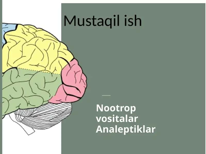 Nootrop vositalar Analeptiklar 1