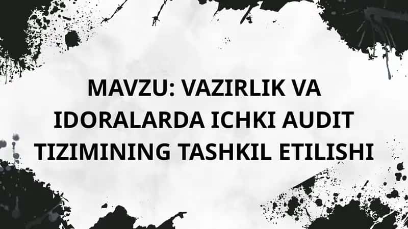 Vazirlik va idoralarda ichki audit tizimining tashkil etilishi 1