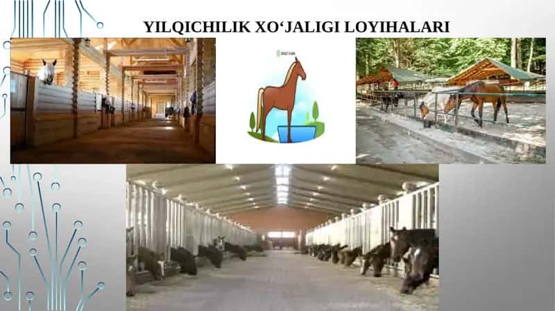 YILQICHILIK XO‘JALIGI LOYIHALARI 1