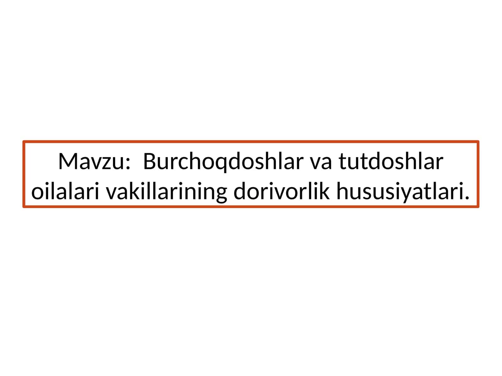 Burchoqdoshlar va tutdoshlar oilalari vakillarining dorivorlik xususiyatlari 1