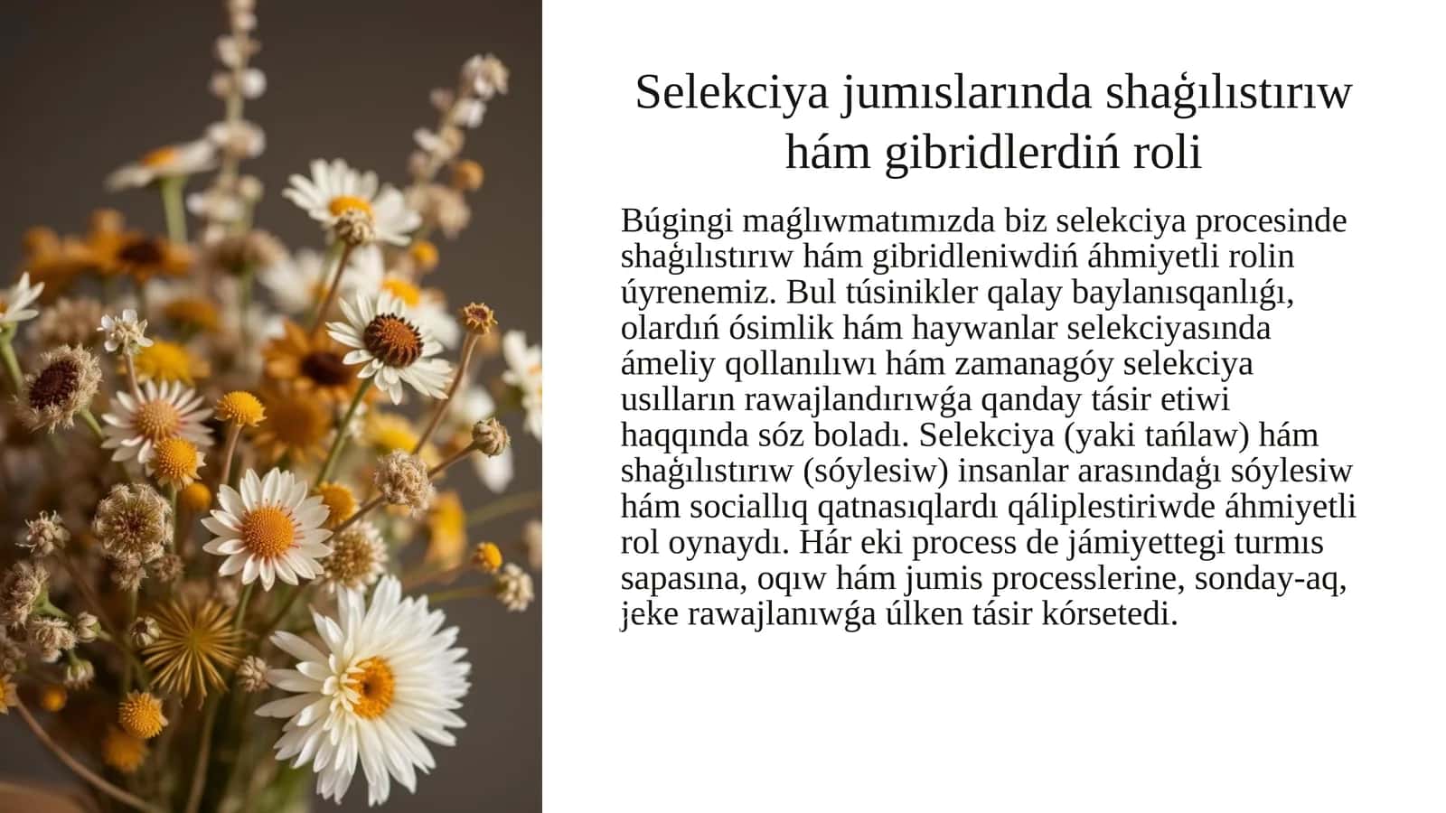Selekciya jumıslarında shaģılıstırıw hám gibridlerdiń roli 1
