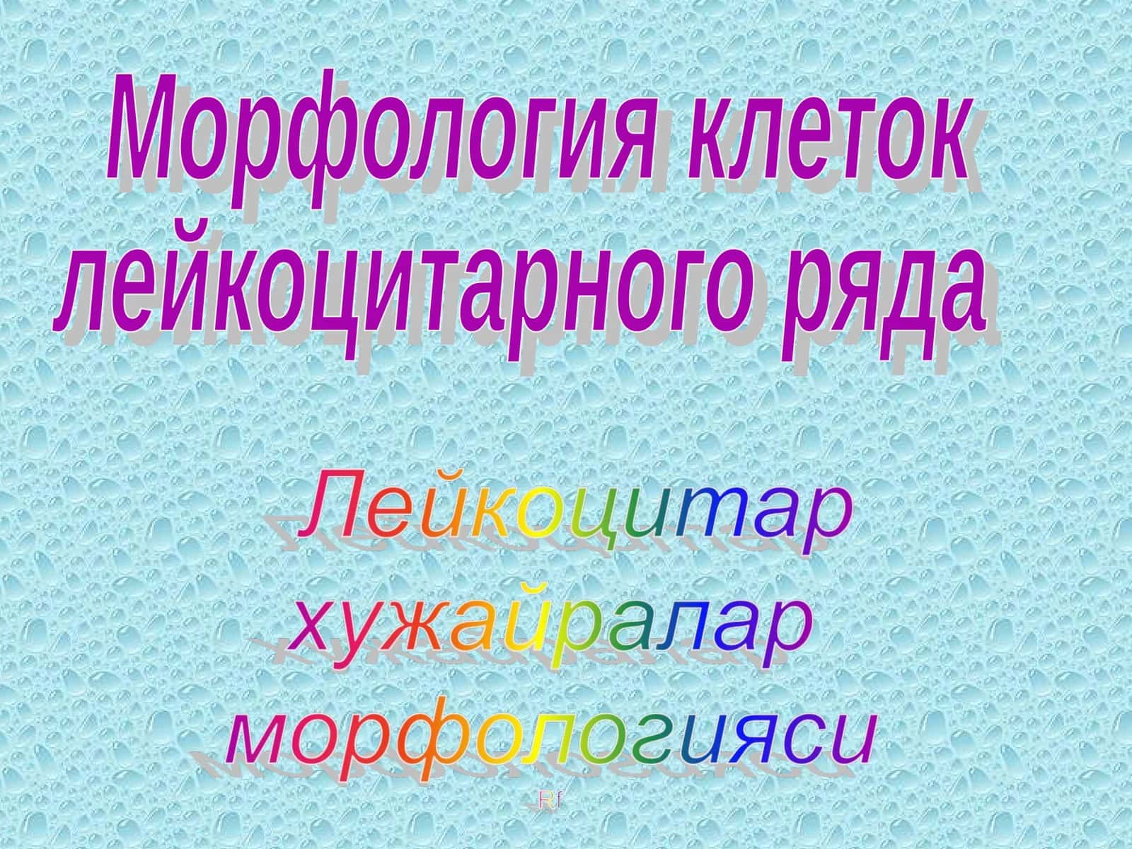 Морфология клеток лейкоцитарного ряда 1