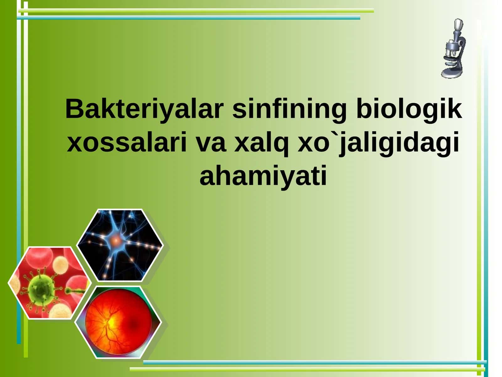 Bakteriyalar sinfining biologik xossalari va xalq xo`jaligidagi ahamiyati 1