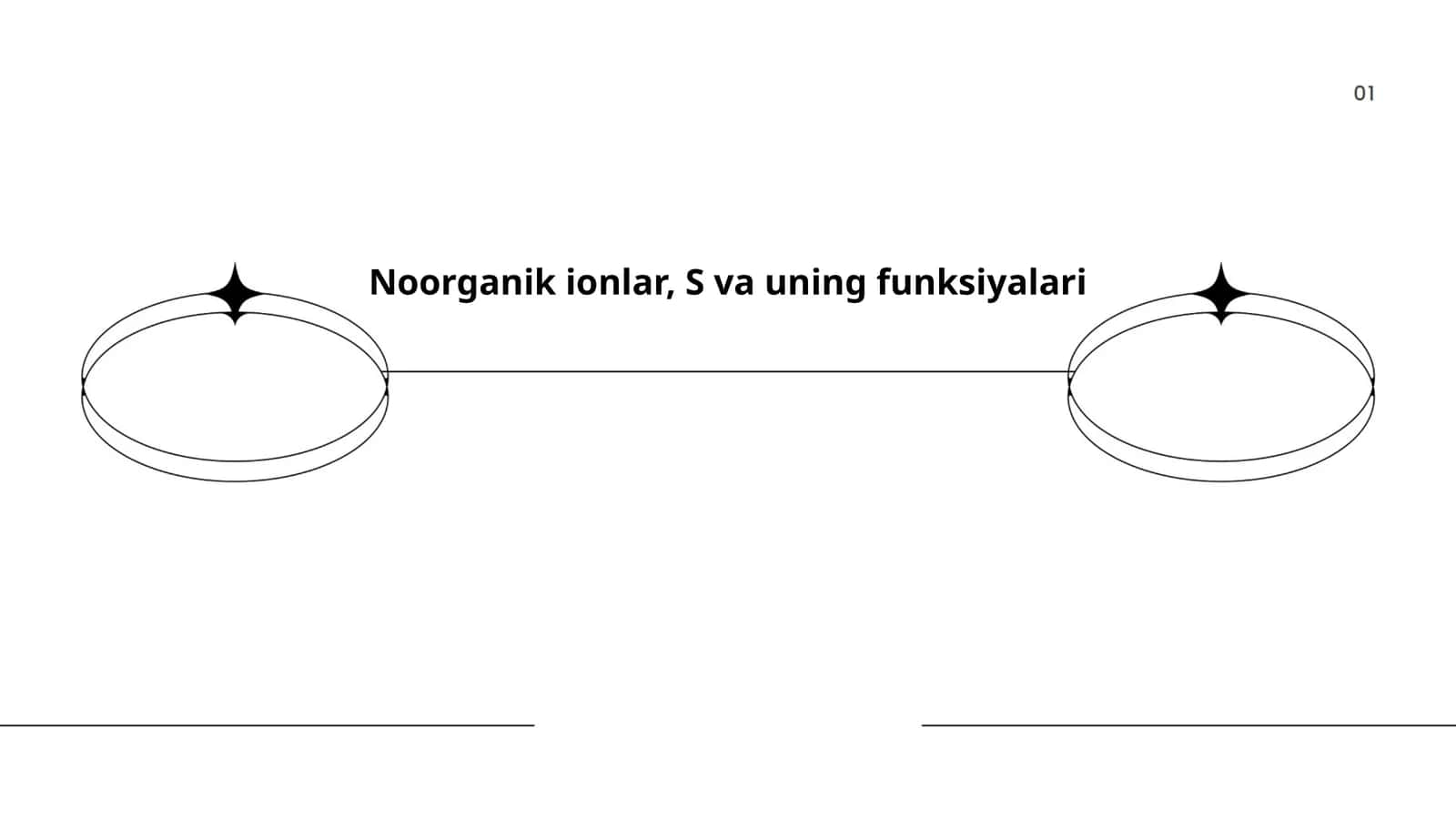 Noorganik ionlar, S va uning funksiyalari 1