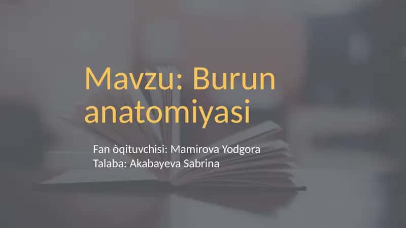 Burunanatomiyasi 1