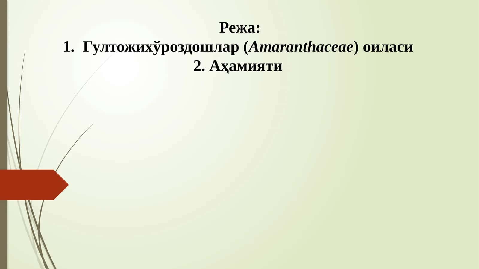 Гултожихўроздошлар (Amaranthaceae)oиласи 1