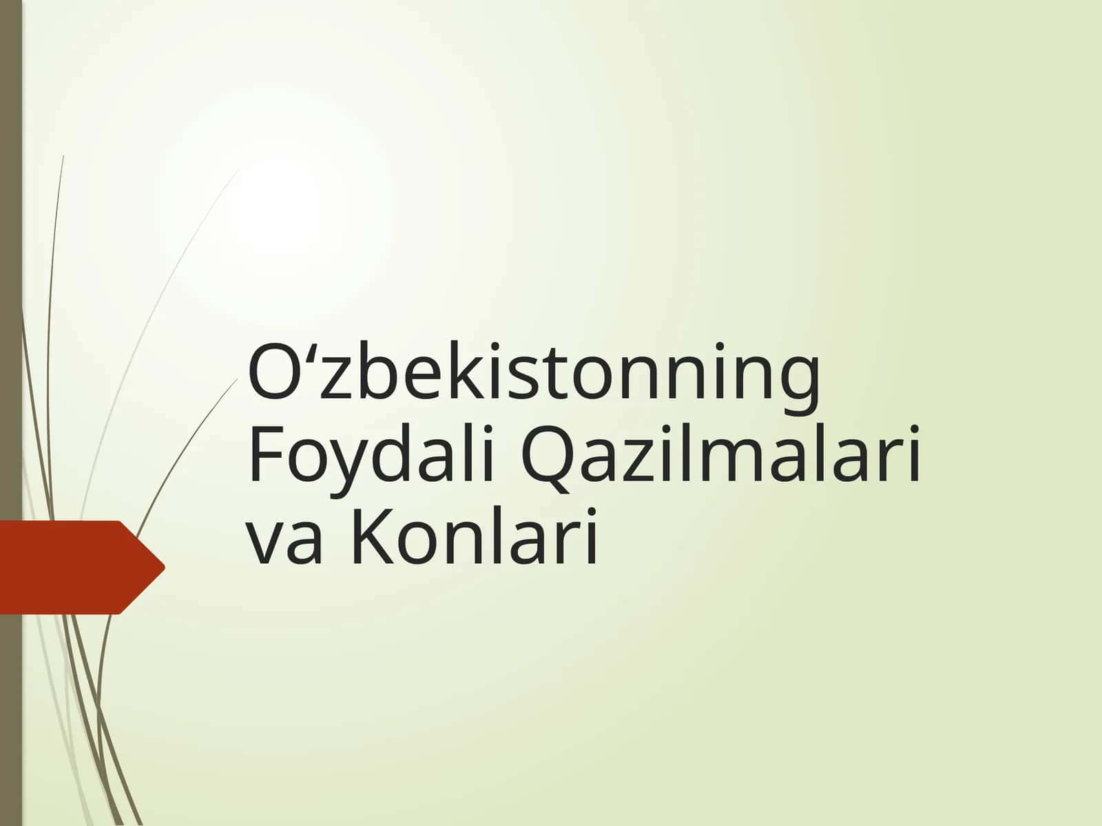 O‘zbekistonning foydali qazilmalari va konlari 1