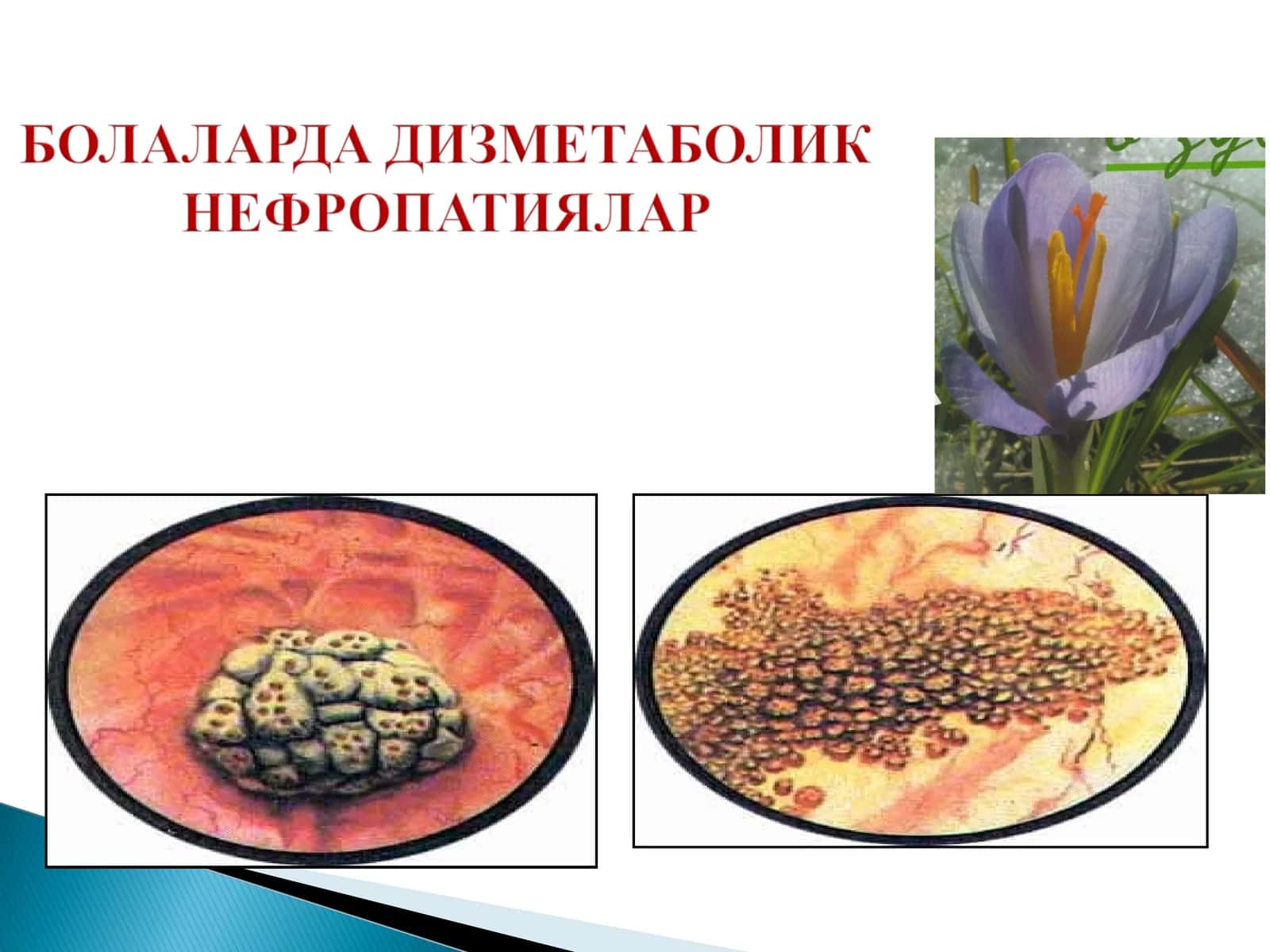 Мавзу: Мавжуд моддалар 1