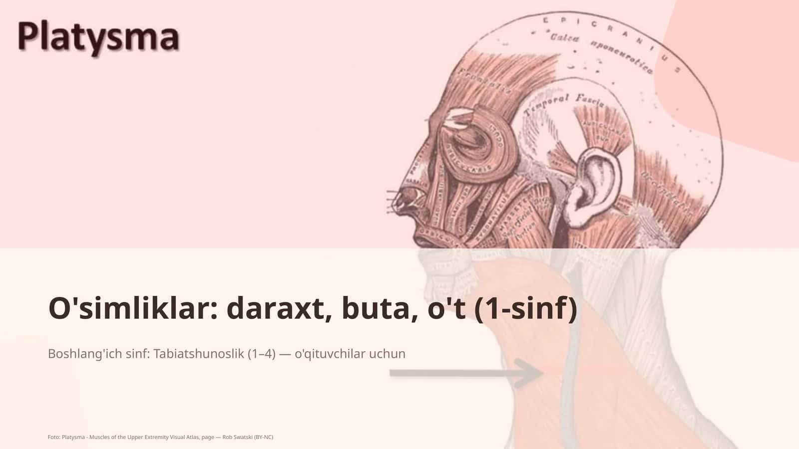 Tabiatshunoslik 1