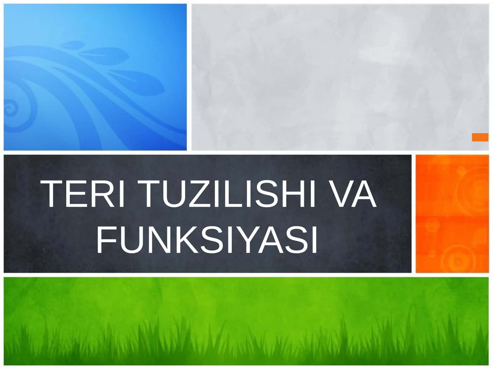 TERI TUZILISHI VA FUNKSIYASI 1