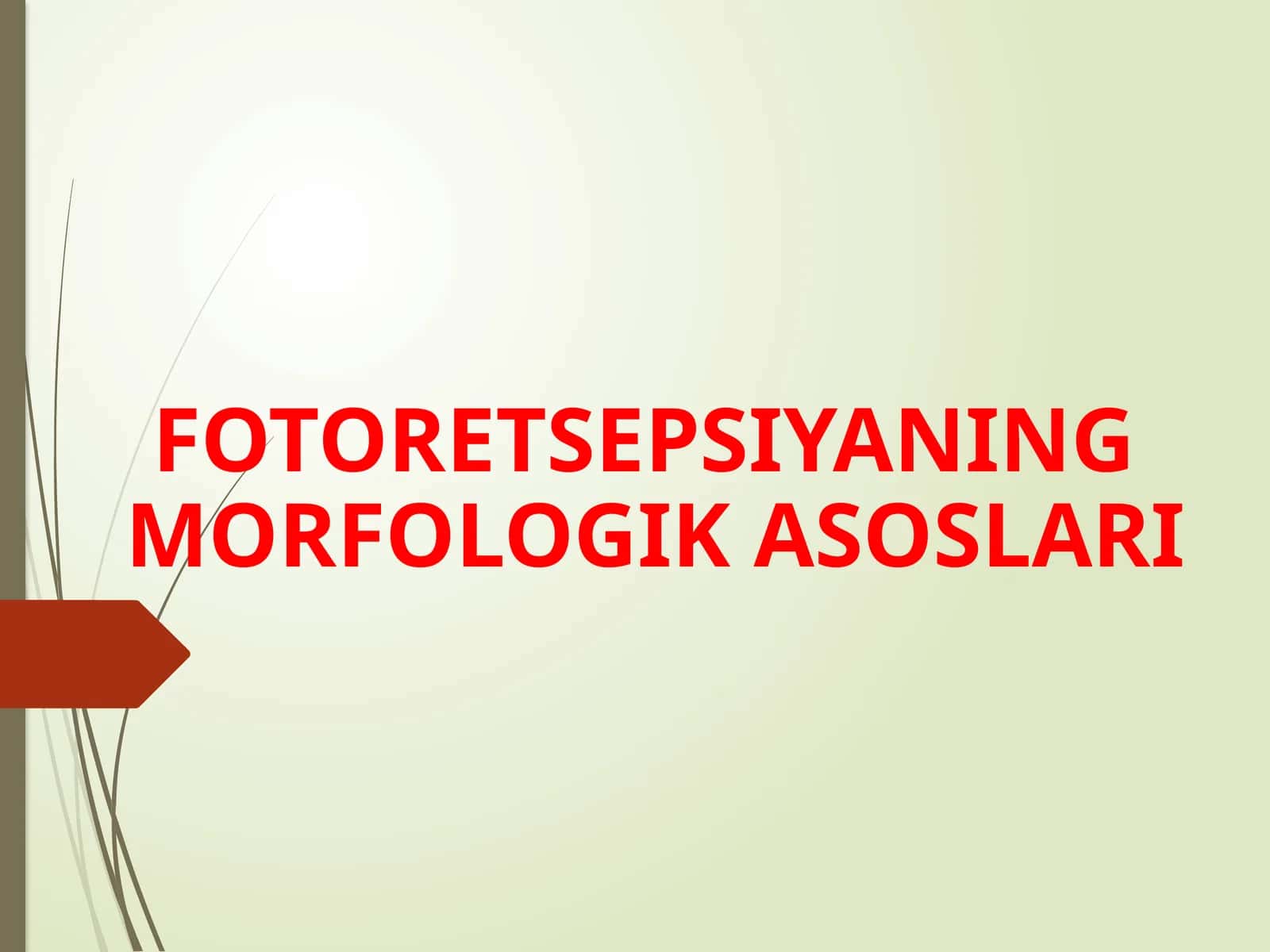 FOTORETSEPSIYANING MORFOLOGIK ASOSLARI 1