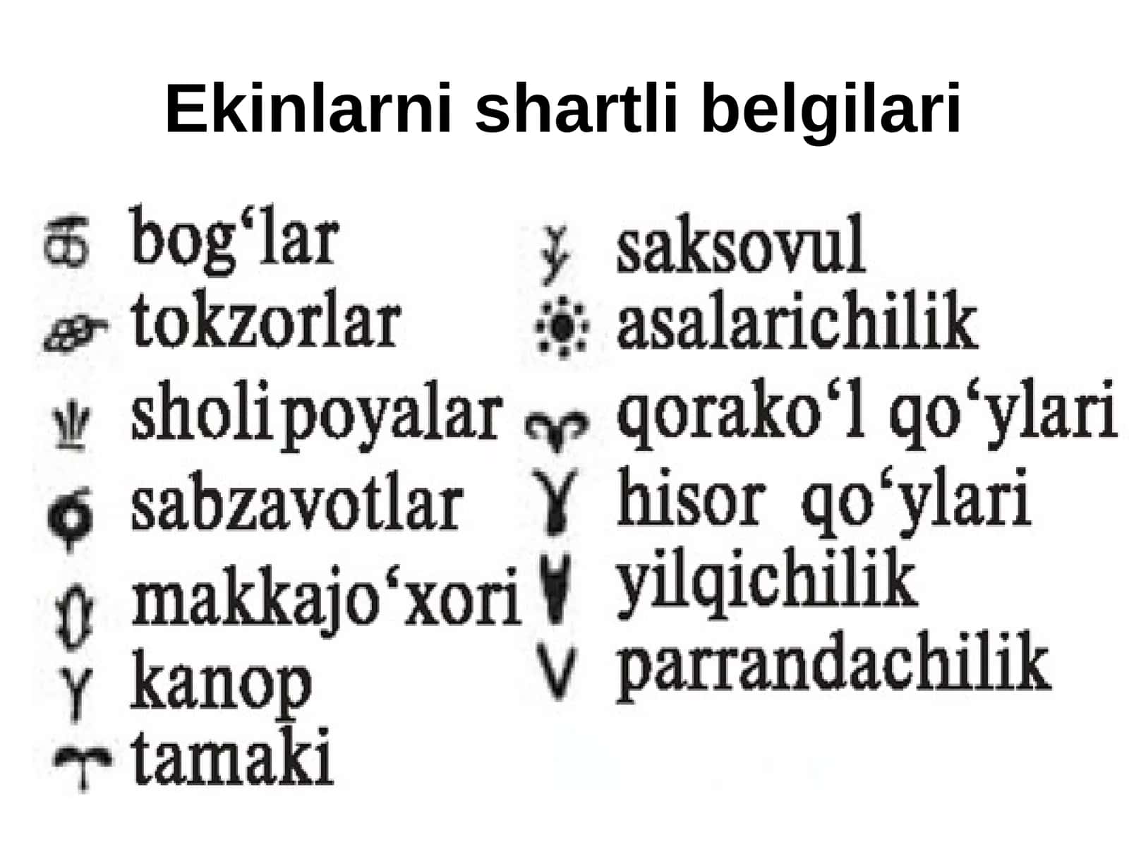 Ekinlarni shartli belgilari 1