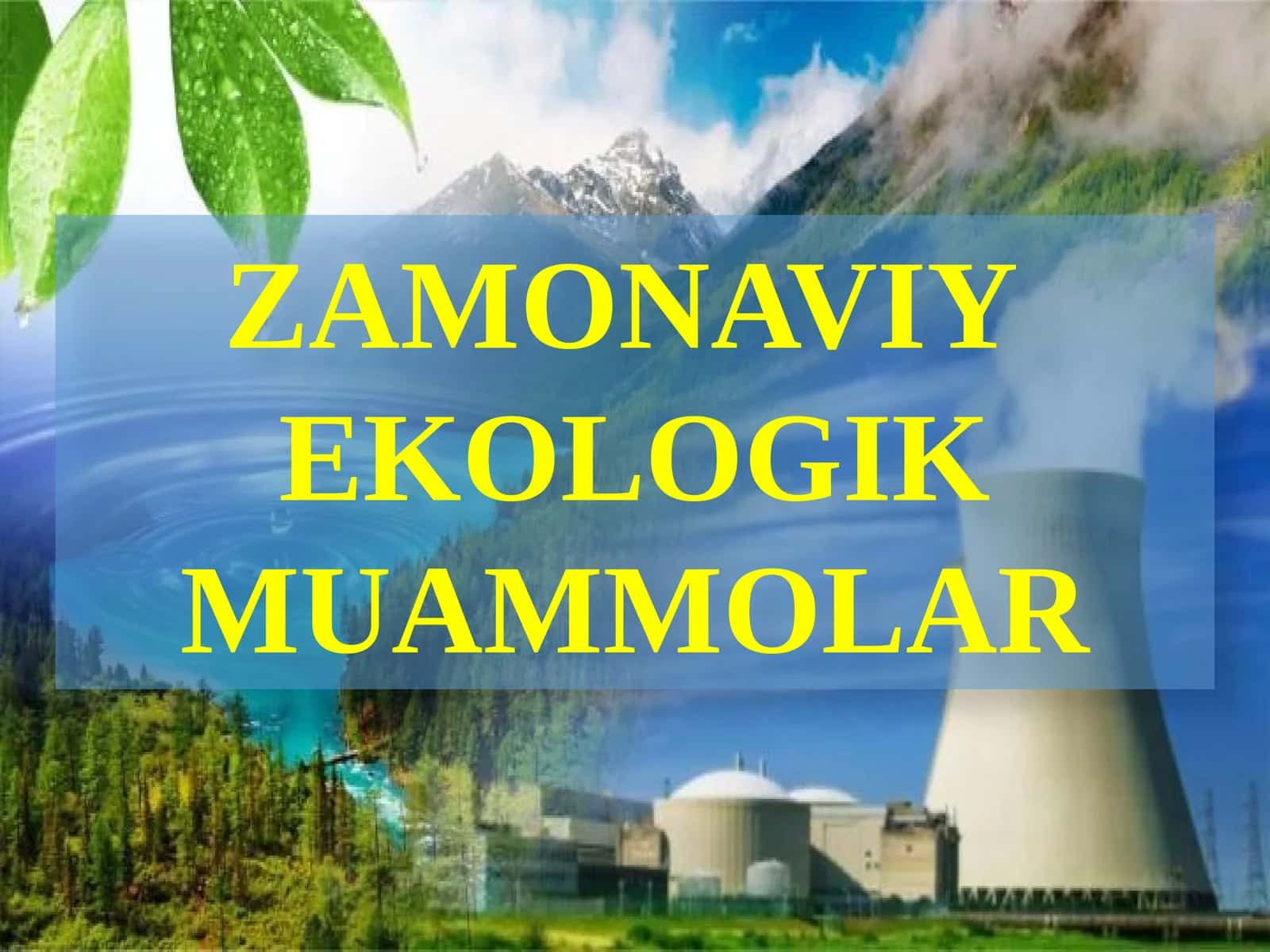 Zamonaviy ekologik muammolar 1