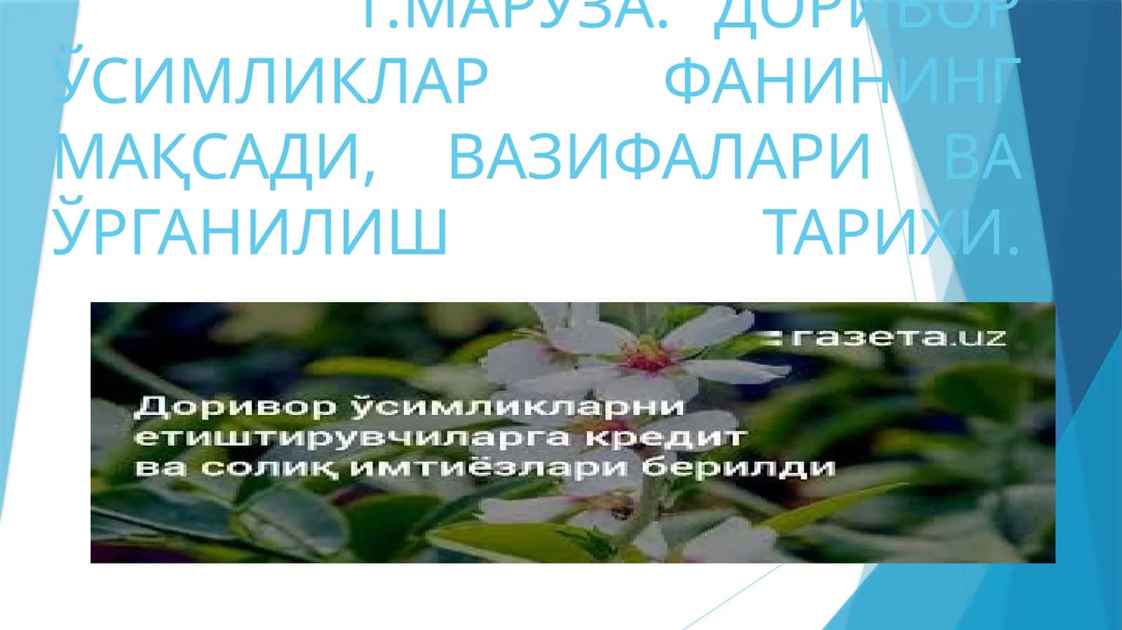 МАРУЗА. ДОРИВОР ЎСИМЛИКЛАР ФАНИНИНГ МАҚСАДИ, ВАЗИФАЛАРИ ВА ЎРГАНИЛИШ ТАРИХИ 1