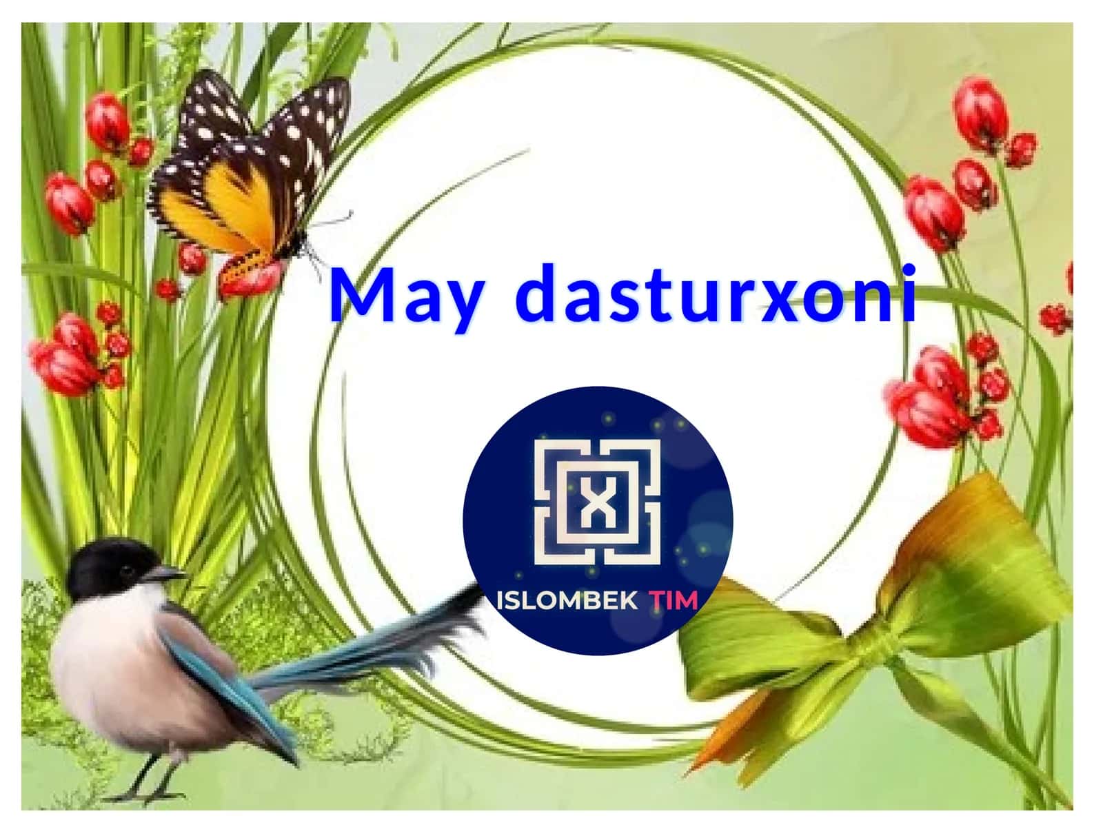 May dasturxoni 1