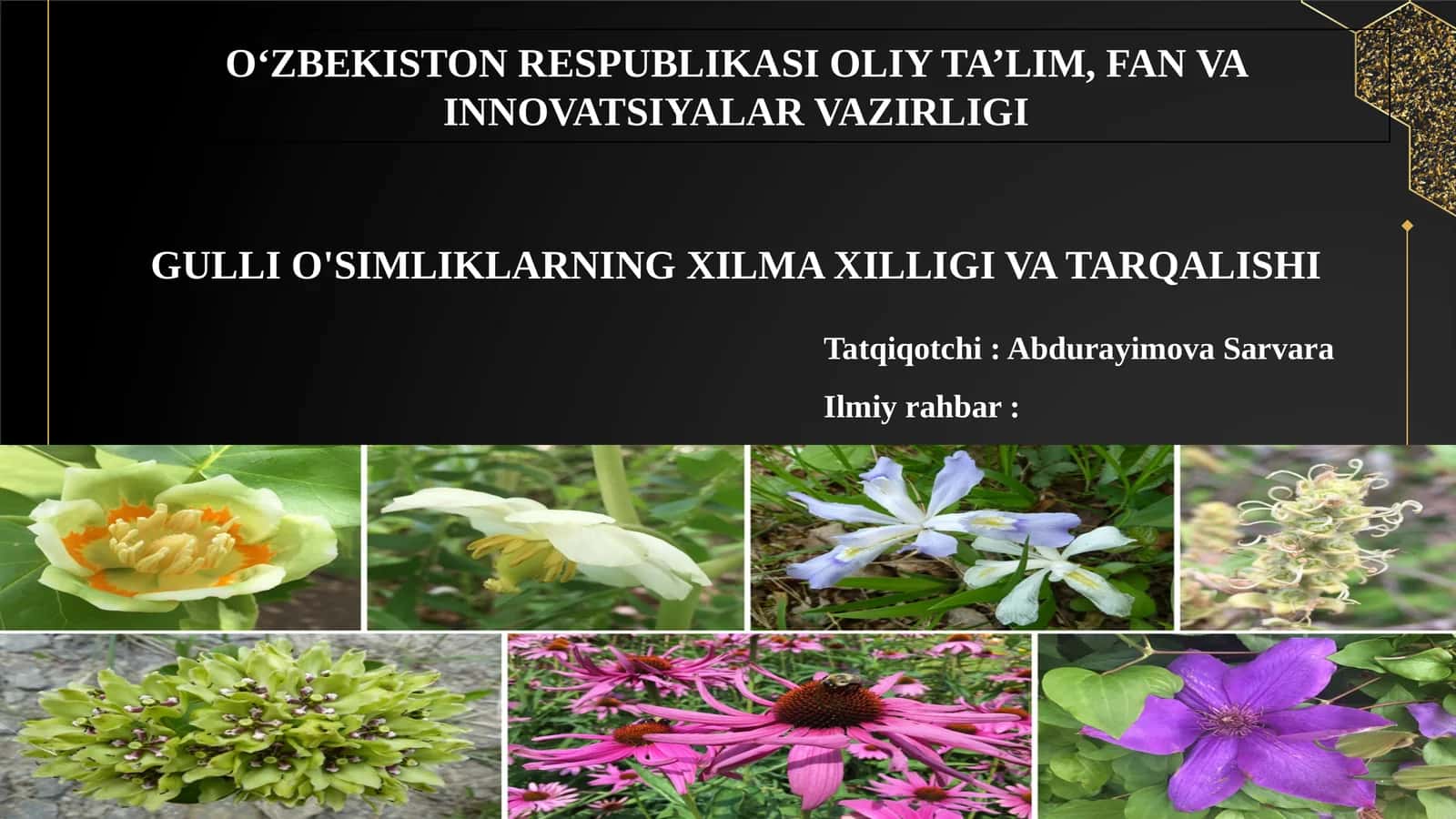 GULLI O'SIMLIKLARNING XILMA XILLIGI VA TARQALISHI 1