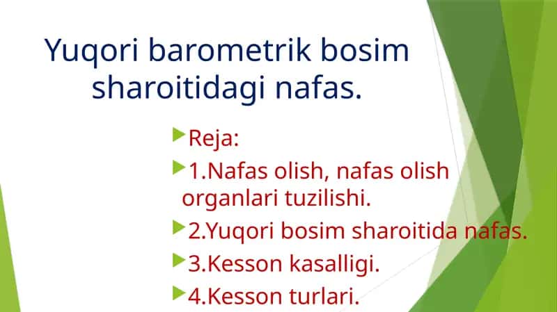Nafas olish tuzilishi 1