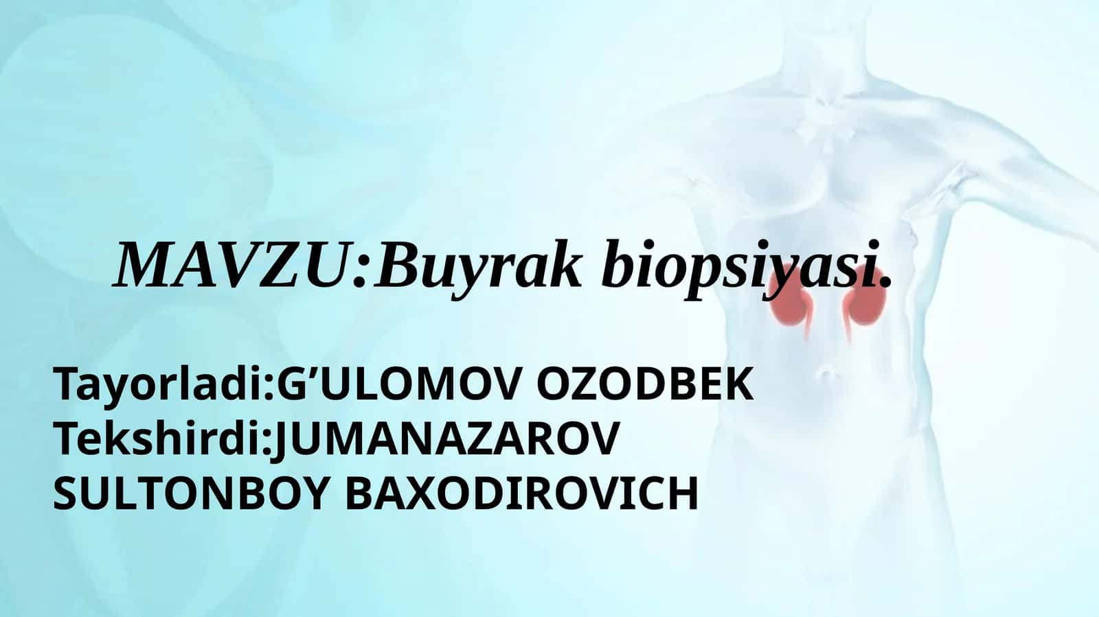 Buyrak biopsiyasi 1