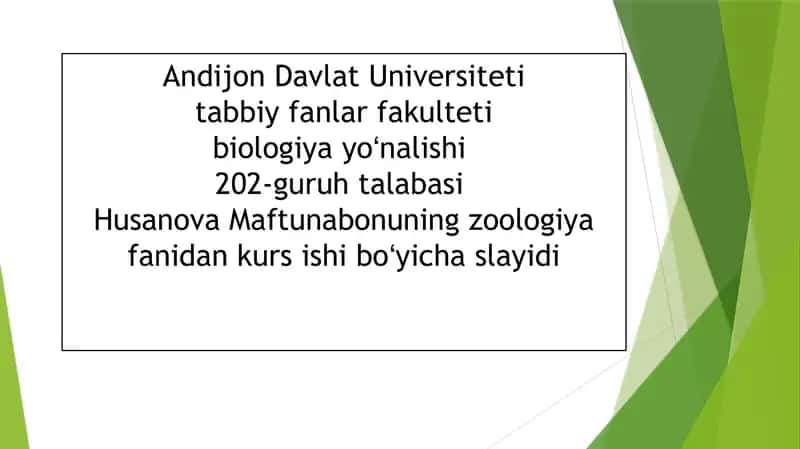 Zuluklar (Hirudinea) 1