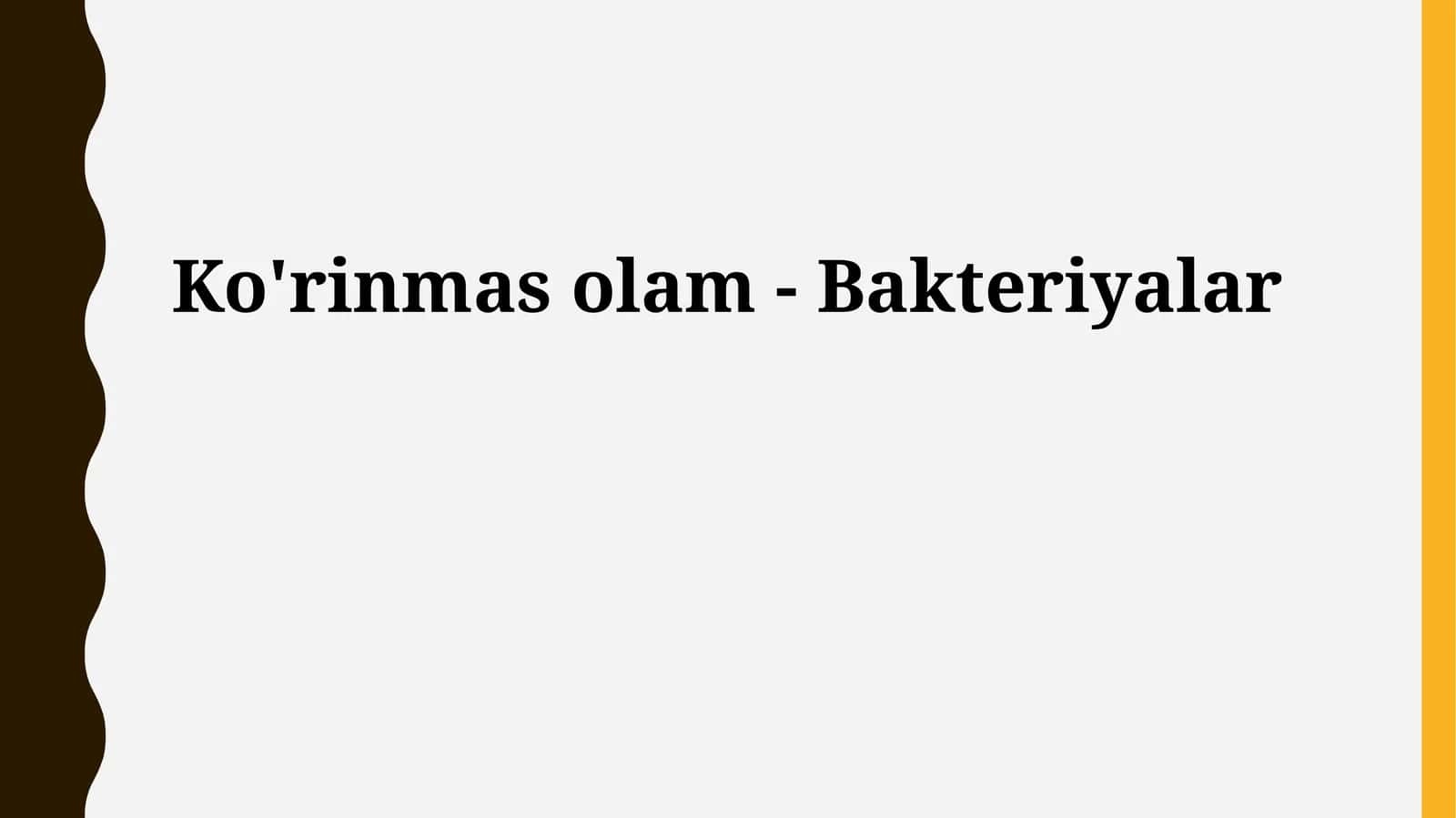 Ko'rinmas olam - Bakteriyalar 1