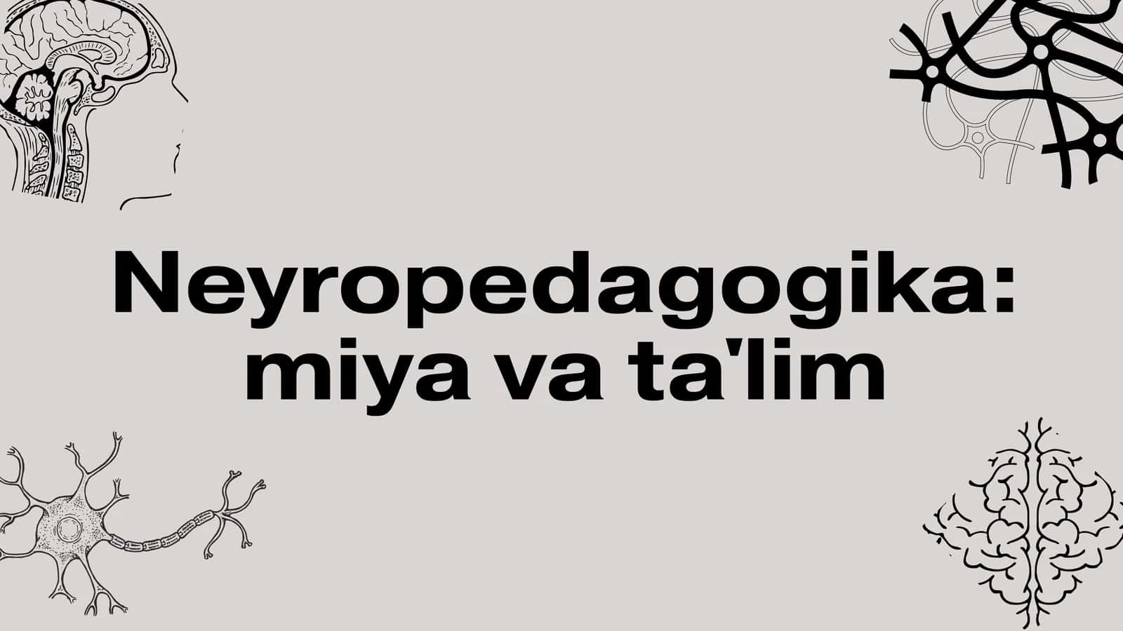 Neyropedagogika: miya va ta'lim 1