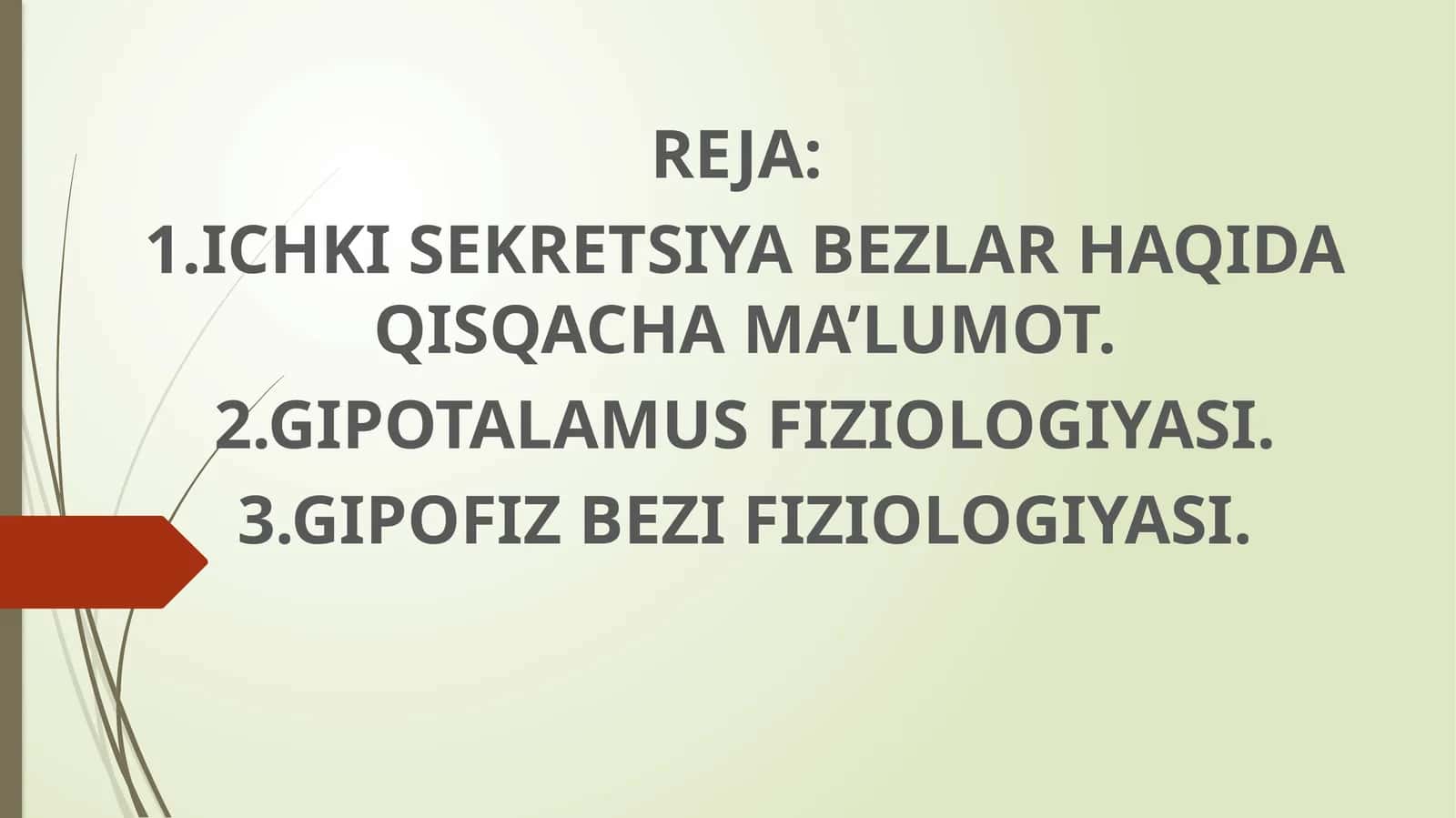 ICHKI SEKRETSIYA BEZLAR HAQIDA QISQACHA MA’LUMOT 1