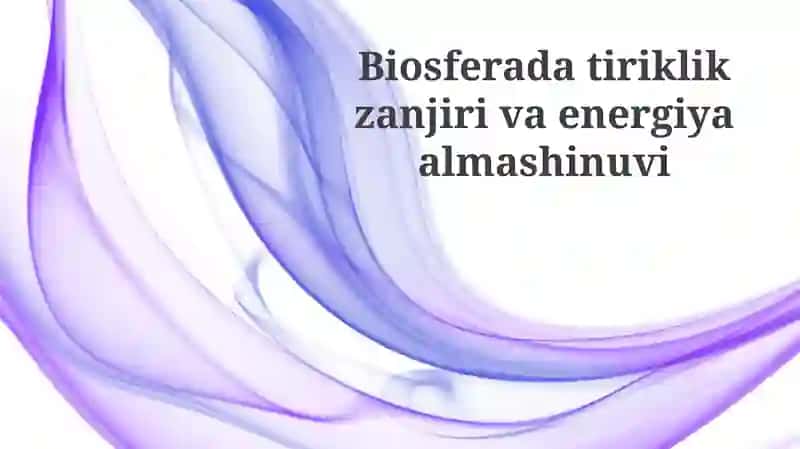 Oziq-ovqat zanjiri va trofik darajalar
