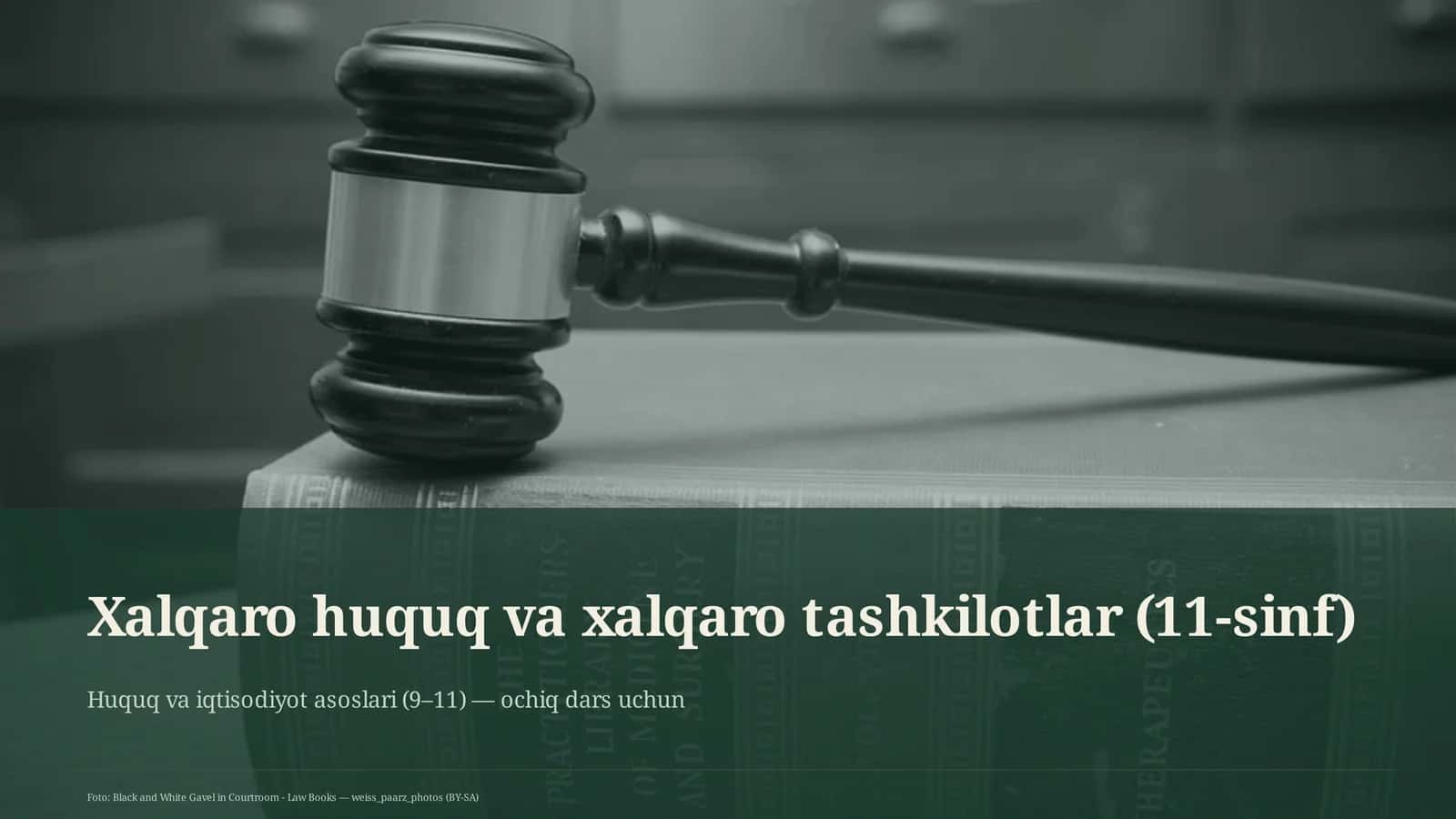 Xalqaro huquq va xalqaro tashkilotlar (11-sinf) 1