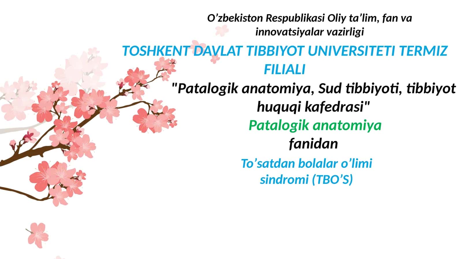 Toʼsatdan bolalar oʼlimi sindromi(TBOʼS) 1