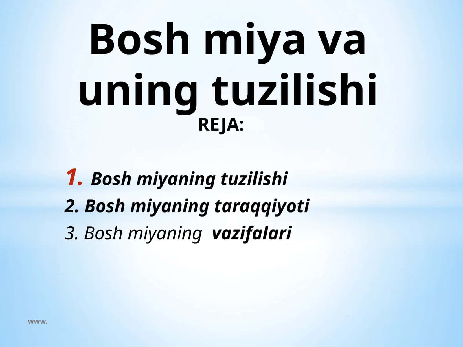 Boshmiyavauningtuzilishi 1