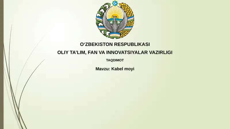 Kabelmoyi 1