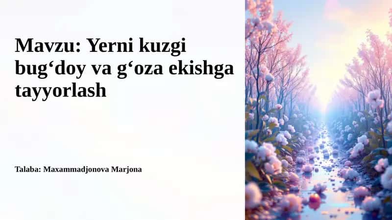 Yernikuzgi bugʻdoy va gʻoza ekishga tayyorlash 1