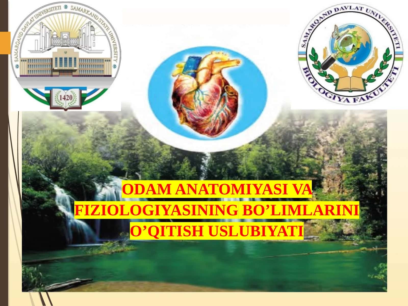 ODAM ANATOMIYASI VA FIZIOLOGIYASI 1