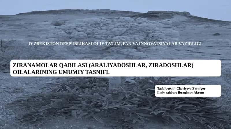 ZIRANAMOLAR QABILASI (ARALIYADOSHLAR, ZIRADOSHLAR) OILALARINING UMUMIY TASNIFI 1