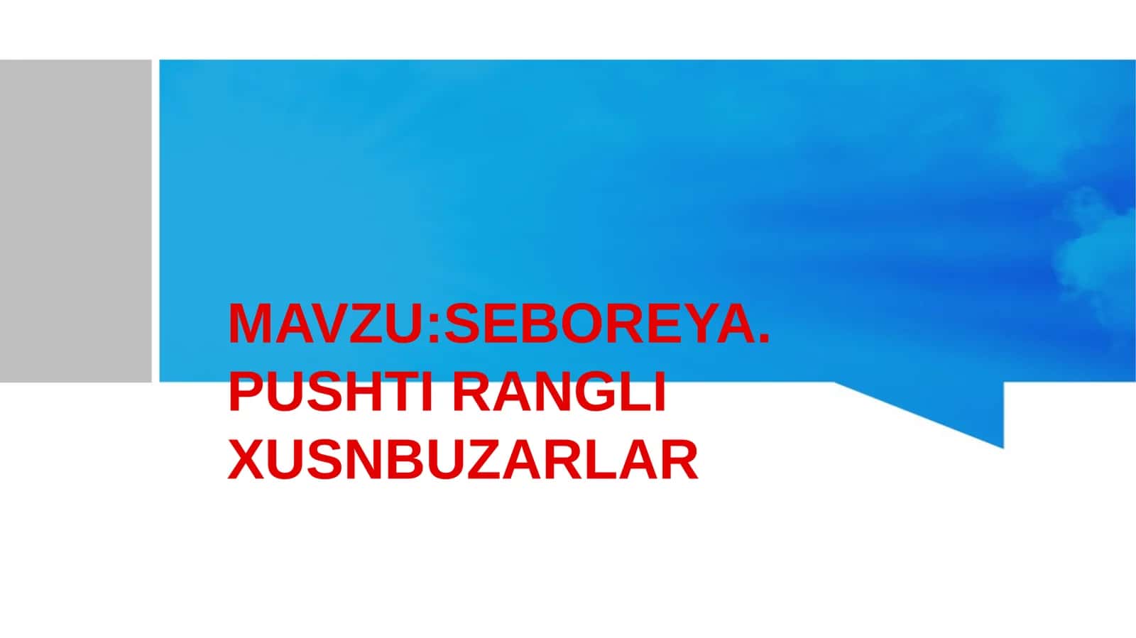 SEBOREYA . PUSHTI RANGLI XUSNBUZARLAR 1