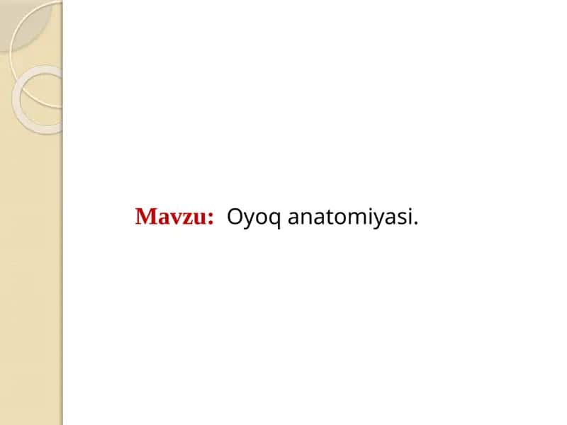 Oyoqanatomiyasi 1