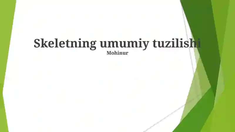Skeletning umumiy tuzilishi