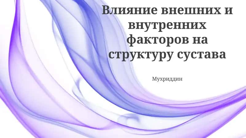 Влияние внешних и внутренних факторов на структуру сустава 1