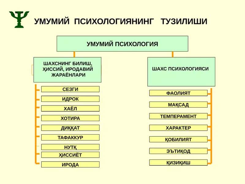 Умумий психология 1