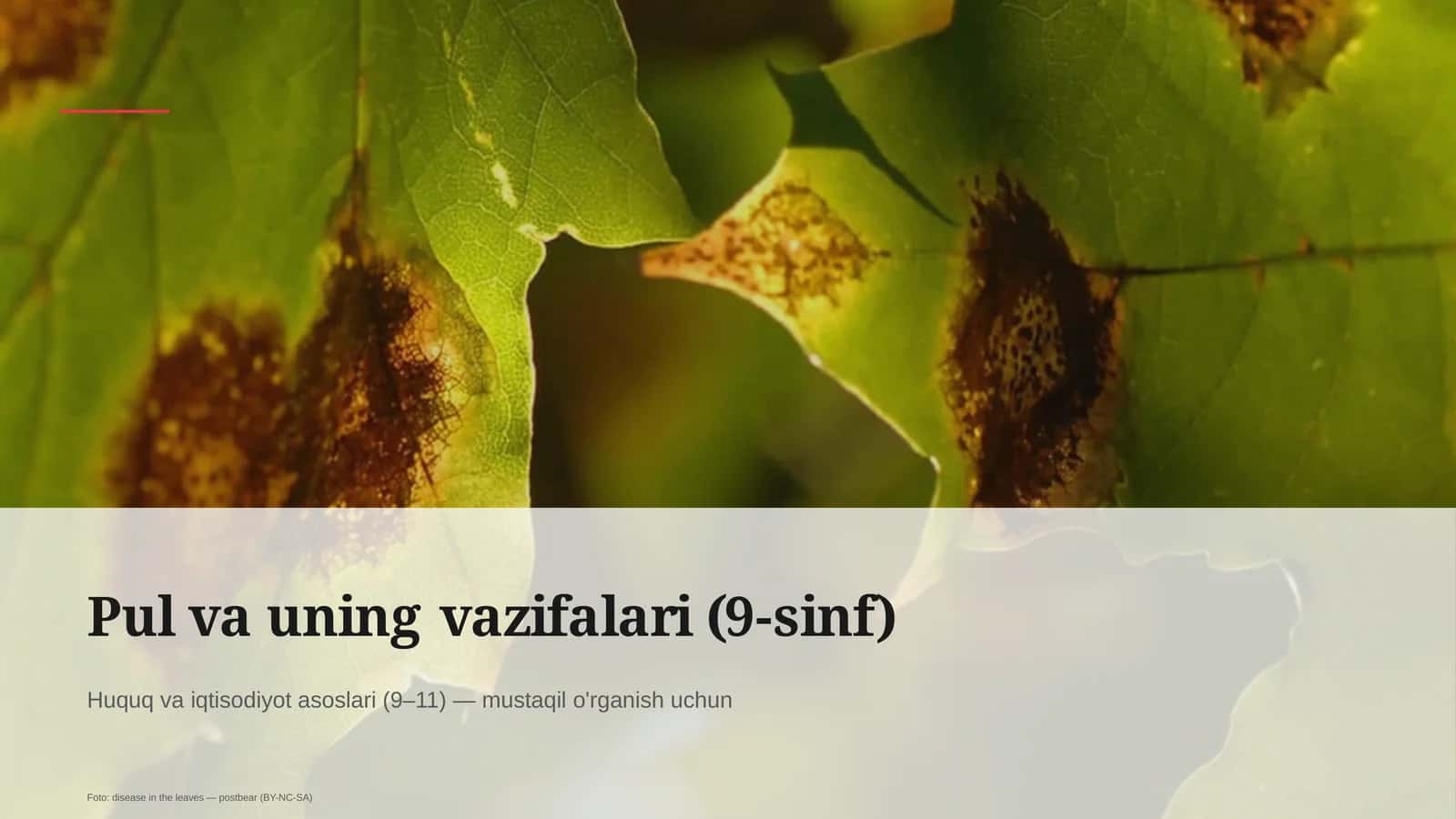 Pul va uning vazifalari (9-sinf) 1