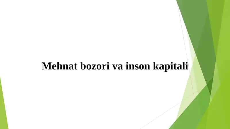 Mehnat bozori va inson kapitali 1