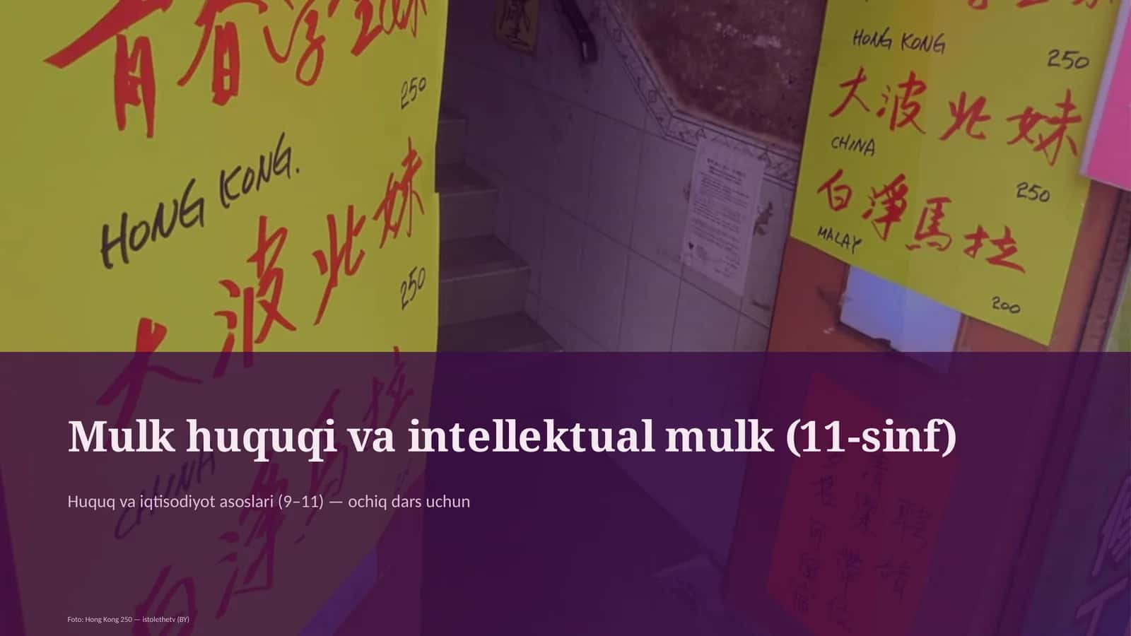 Mulk huquqi va intellektual mulk (11-sinf) 1