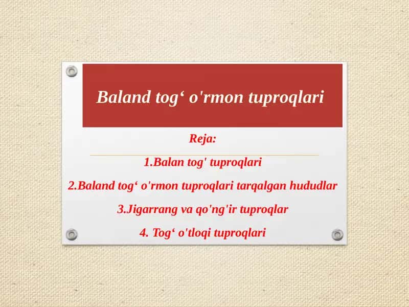 Baland tog' o'rmon tuproqlar 1