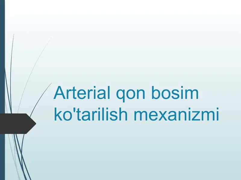 Arterial qon bosim ko'tarilish mexanizmi 1